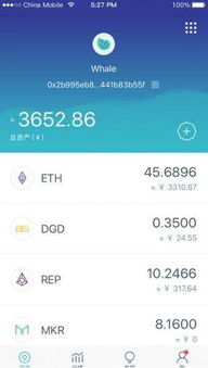 token软件下载小众